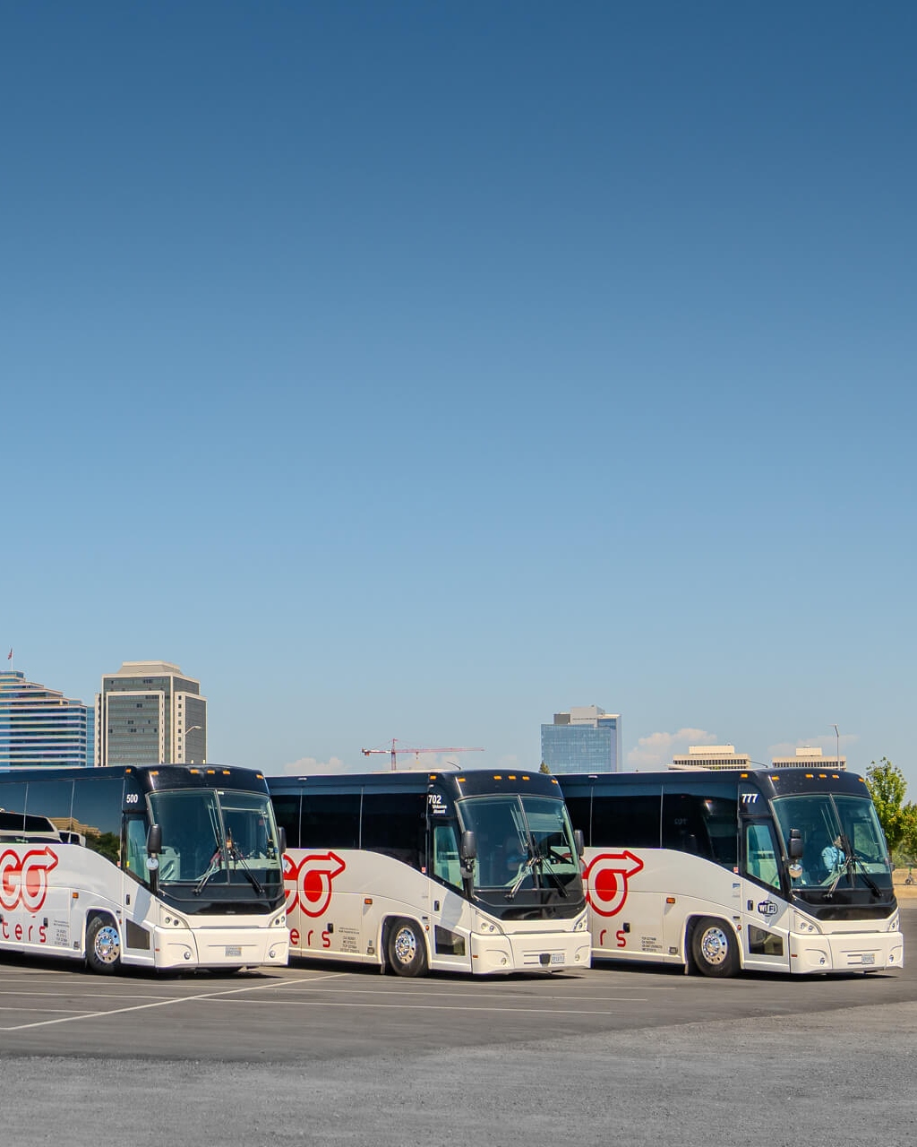 Gogo Charters New York avatar