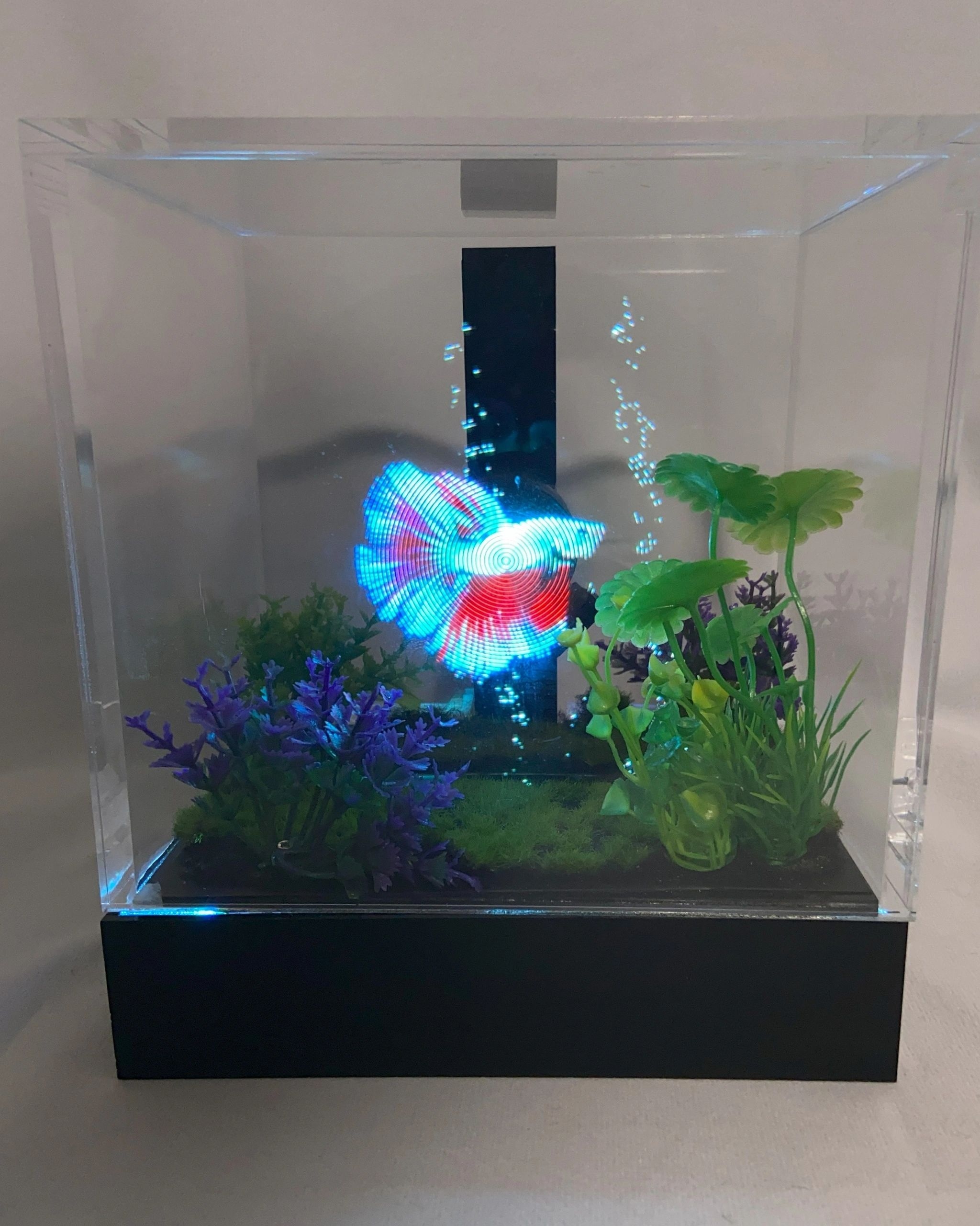 Showcase Holograms avatar