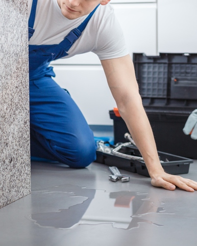 Water Damage Restoration Manhattan avatar