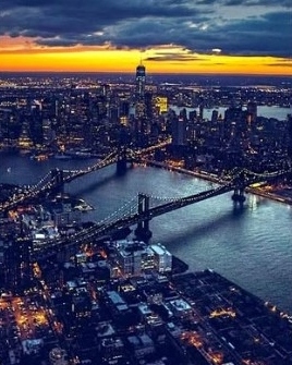 NYC Insurance avatar