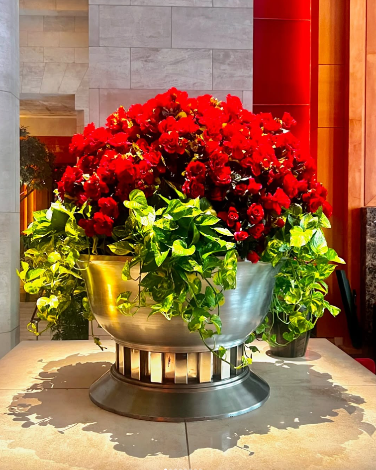 Mahir Floral Events avatar