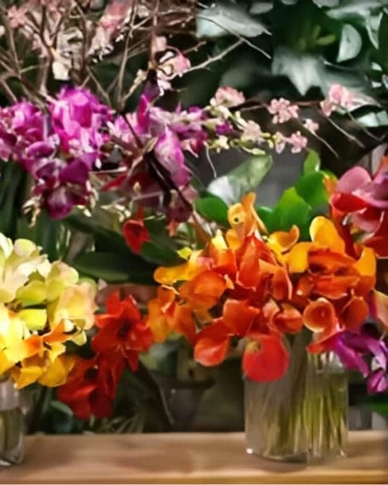 Starbright Floral Design avatar